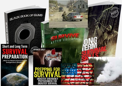 Product picture Survive The Collapse Books (+ 300 more Books)